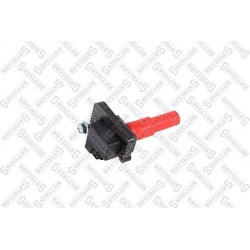 ritė, uždegimas
                                STELLOX                                                61-00239-SX, STELLOX