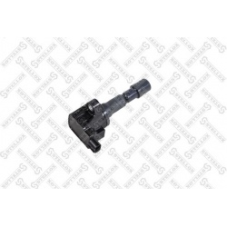 ritė, uždegimas
                                STELLOX                                                61-00252-SX, STELLOX