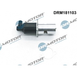 ERG vožtuvas
                                Dr.Motor Automotive                                                DRM181103, D
