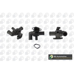 termostatas, aušinimo skystis
                                BGA                                                CT5601, BGA