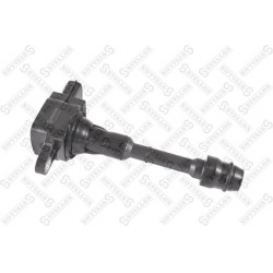 ritė, uždegimas
                                STELLOX                                                61-00137-SX, STELLOX