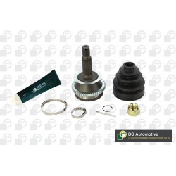 pusašio šarnyras
                                BGA                                                CV2704A, BGA, CV2704A, 