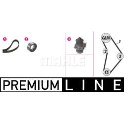 vandens siurblio ir paskirstymo diržo komplektas BEHR *** PREMIUM LINE ***
                                MAHLE            