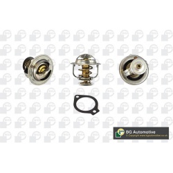 termostatas, aušinimo skystis
                                BGA                                                CT5620, BGA