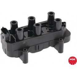 ritė, uždegimas
                                NGK                                                48106, NGK, 48106, auto 