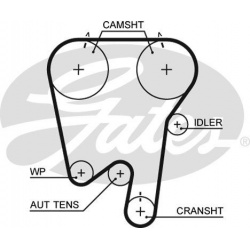 paskirstymo diržas
                                GATES                                                T252RB, GATES, T252R