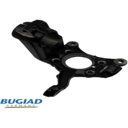 pasukamasis kakliukas, rato pakaba
                                BUGIAD                                                BSP2