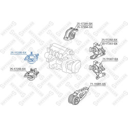 variklio montavimas
                                STELLOX                                                25-17290-SX, STELL