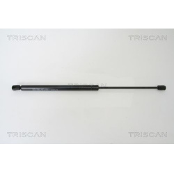 dujinė spyruoklė, bagažinė
                                TRISCAN                                                8710 25