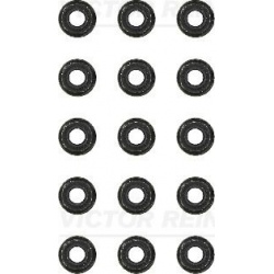 tarpiklių komplektas, vožtuvo šerdis
                                VICTOR REINZ                                12-31306-