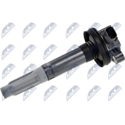 ritė, uždegimas
                                NTY                                                ECZ-FR-011, NTY, ECZ-FR-