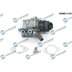 ERG vožtuvas
                                Dr.Motor Automotive                                                DRM611105, D