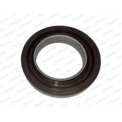 veleno sandariklis, alkūninis velenas
                                PAYEN                                                N