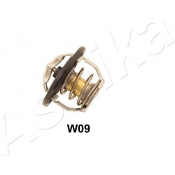 termostatas, aušinimo skystis
                                ASHIKA                                                38-0W-W0