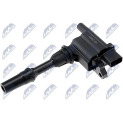 ritė, uždegimas
                                NTY                                                ECZ-MZ-028, NTY, ECZ-MZ-