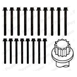 varžtų kompl., cil. galvutės varžtai
                                PAYEN                                               