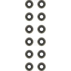 tarpiklių komplektas, vožtuvo šerdis
                                VICTOR REINZ                                         