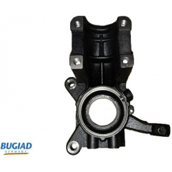 pasukamasis kakliukas, rato pakaba
                                BUGIAD                                                BSP2