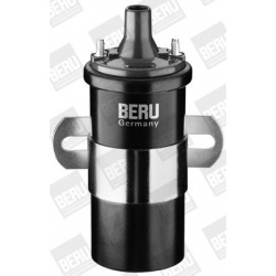 ritė, uždegimas
                                BorgWarner (BERU)                                ZS120, BorgWarner (BERU), 