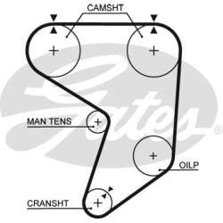 paskirstymo diržas RPM Racing Timing Belt
                                GATES                                             