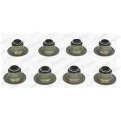 tarpiklių komplektas, vožtuvo šerdis
                                PAYEN                                                