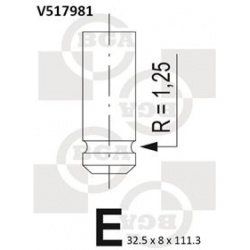 išmetimo vožtuvas
                                BGA                                                V517981, BGA, V517981,
