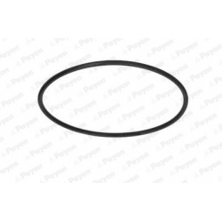 veleno sandariklis, alyvos siurblys
                                PAYEN                                KH007, Nenurodytas g