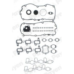 tarpiklių komplektas, cilindro galva
                                PAYEN                                                CG