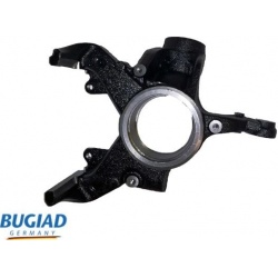 pasukamasis kakliukas, rato pakaba
                                BUGIAD                                                BSP2