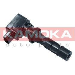 ritė, uždegimas
                                KAMOKA                                                7120151, KAMOKA, 7120