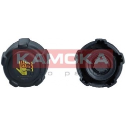 dangtelis, radiatorius
                                KAMOKA                                                7729005, KAMOKA,