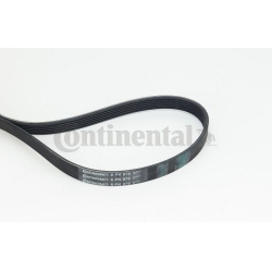 V formos rumbuoti diržai
                                CONTITECH                                                6PK976, CO