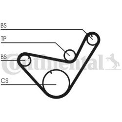 paskirstymo diržas
                                CONTITECH                                CT714, CONTITECH, CT714, auto de