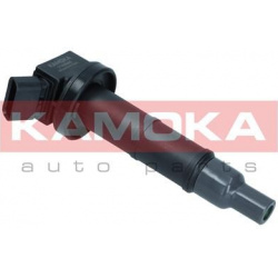 Ritė, uždegimas
KAMOKA 7120030, KAMOKA, 7120
