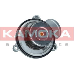 Termostatas, aušinimo skystis
                                KAMOKA                                                7710086,