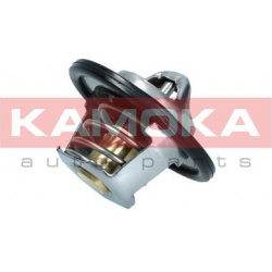 termostatas, aušinimo skystis
                                KAMOKA                                                7710079,