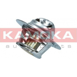 termostatas, aušinimo skystis
                                KAMOKA                                                7710076,