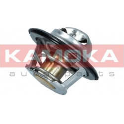 termostatas, aušinimo skystis
                                KAMOKA                                                7710053,