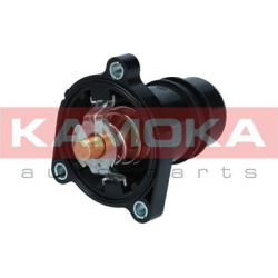 termostatas, aušinimo skystis
                                KAMOKA                                                7710027,