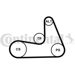 V formos rumbuoti diržai
                                CONTITECH                                5PK1121 EXTRA, CONTITECH, 