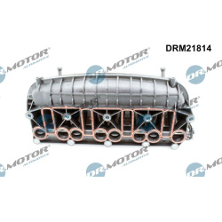 įsiurbimo kolektoriaus modulis
                                Dr.Motor Automotive                                DRM21814, 