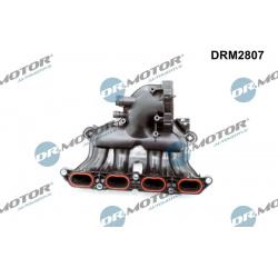 įsiurbimo kolektoriaus modulis
                                Dr.Motor Automotive                                DRM2807, D