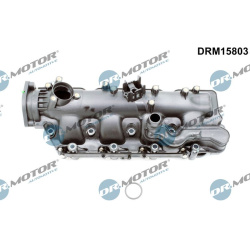 Įsiurbimo kolektoriaus modulis
                                Dr.Motor Automotive                                          