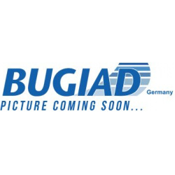 kompresoriaus padavimo žarna
                                BUGIAD                                82238, Nenurodytas gamint
