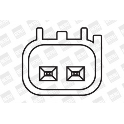 ritė, uždegimas
                                BorgWarner (BERU)                                                ZS408, Bor