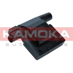 Ritė, uždegimas
                                KAMOKA                                                7120106, KAMOKA, 7120