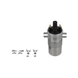 ritė, uždegimas
                                BorgWarner (BERU)                                ZS568, BorgWarner (BERU), 