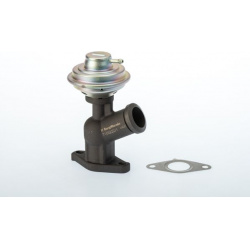 ERG vožtuvas
                                BorgWarner (Wahler)                                710922D/1, BorgWarner (Wahle