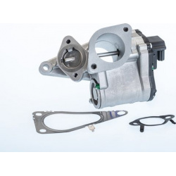 ERG vožtuvas
                                BorgWarner (Wahler)                                710968R, BorgWarner (Wahler)