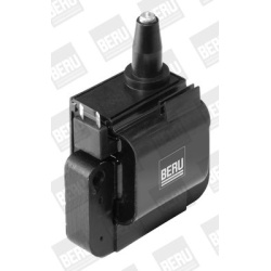 ritė, uždegimas
                                BorgWarner (BERU)                                                ZS532, Bor
